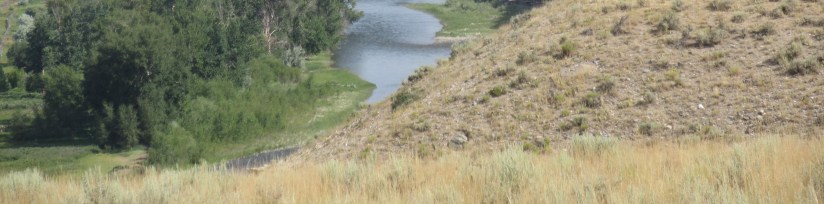 Salmon River, Idaho III